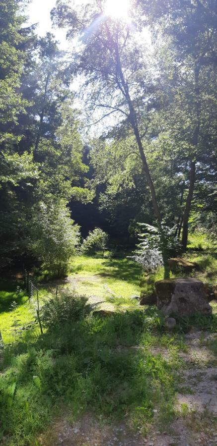 Gite De La Baerenbach Haselbourg ภายนอก รูปภาพ