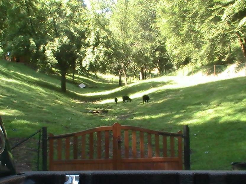 Gite De La Baerenbach Haselbourg ภายนอก รูปภาพ